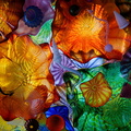 Chihuly Ceiling