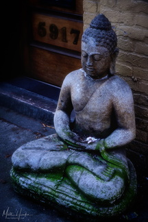 Buddha of the Sidewalk