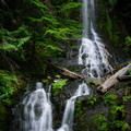 Falls Creek Falls (Rainier)