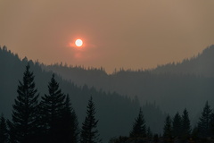 Red Sun at Rainier