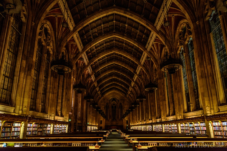 Bookish Cathedral