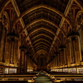 Bookish Cathedral