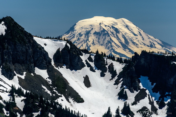 Mount Adams (from Rainier)