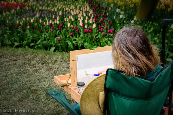 Painter of Tulips