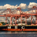 MSC Nerissa in the Port of Seattle