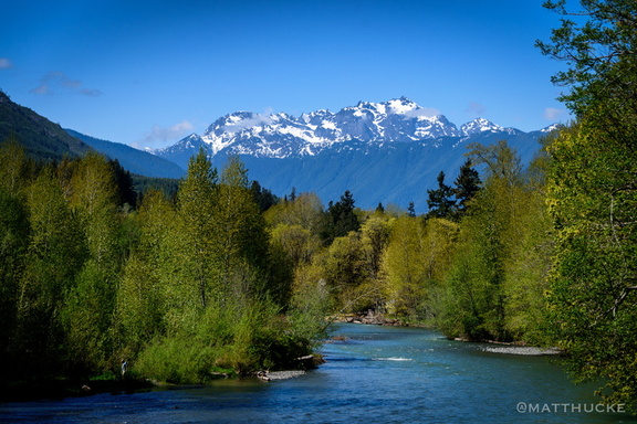 Mount Constance from the Dosewallips River
