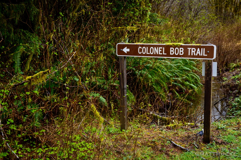 Colonel Bob Trail