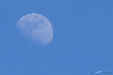 Blue sky moon