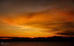 one orange evening