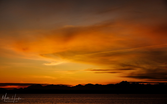 one orange evening