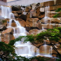 flickr-40832984053.jpg