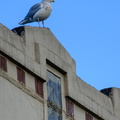 Sentry duty