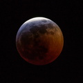 Super Blood Wolf Moon 2019
