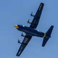 Fat Albert