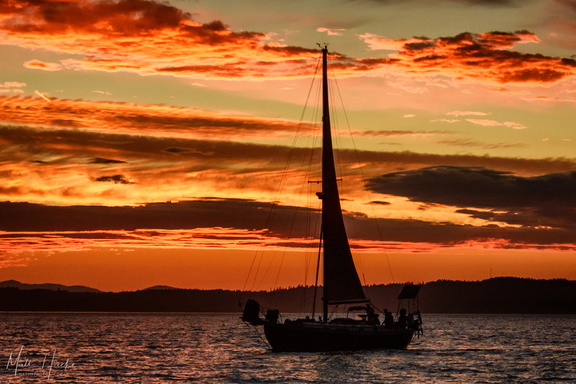 The Black Sloop