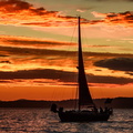The Black Sloop