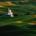 Whitman County Growers