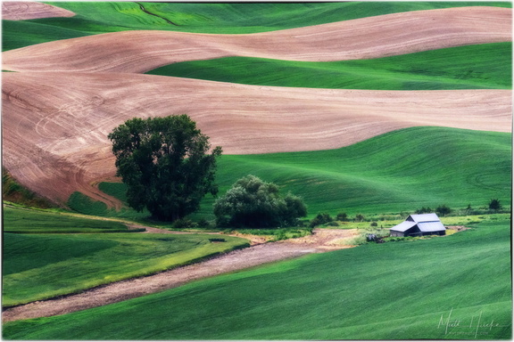 Ripple farm