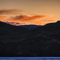 Wild Horses on the Columbia