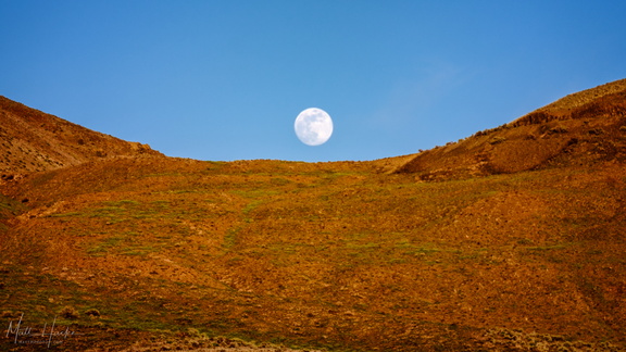 Moonrise