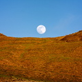 Moonrise