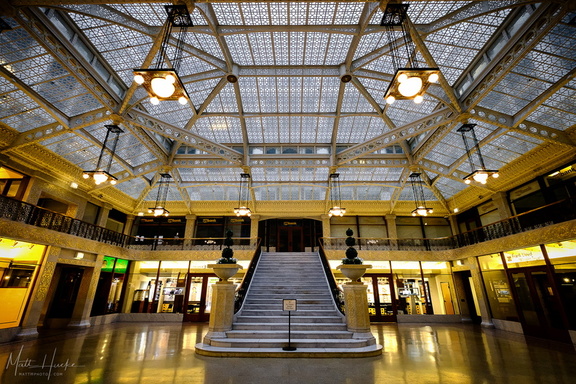 In the Rookery