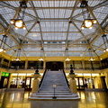 In the Rookery