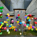 Ballard "Up" House