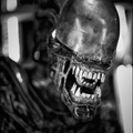 Xenomorph