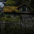 The Shunned House