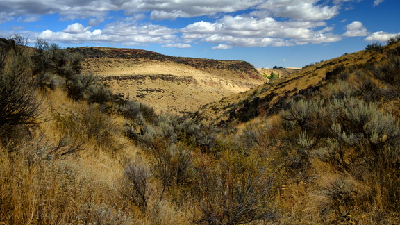 Cowiche Canyon