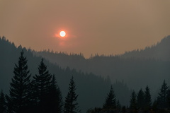 Red Sun at Rainier