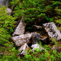 Bagley Lakes Basalt