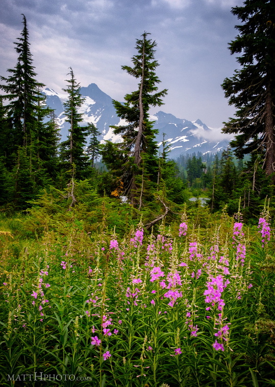 Picture Lake Trail, Mount Shuksan