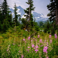 Picture Lake Trail, Mount Shuksan