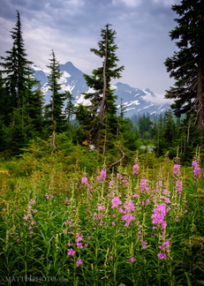 Picture Lake Trail, Mount Shuksan