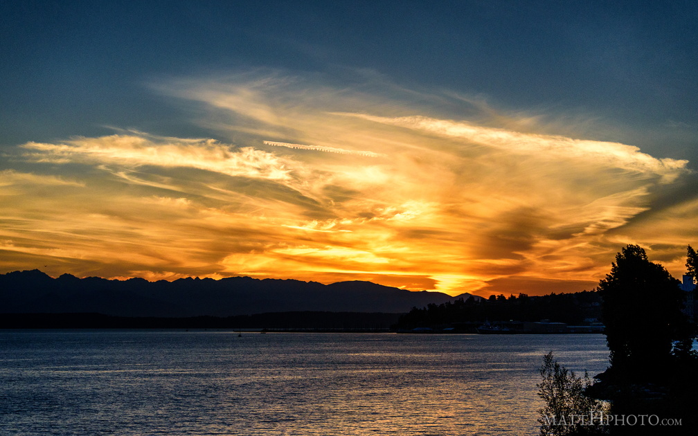 Puget's Gold II
