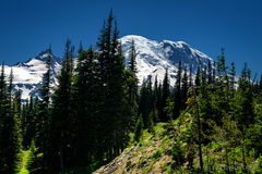 Sunrise Road