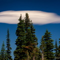 Lenticular
