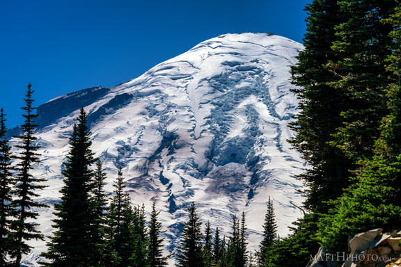 Rainier from Sunrise Point