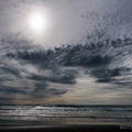 Kalaloch Beach, Olympic National Park
