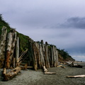Kalaloch Beach, Olympic National Park