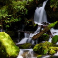 Merriman Falls