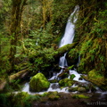 Merriman Falls