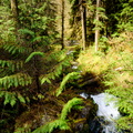 Top of Cascade Falls