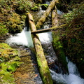 Top of Cascade Falls