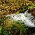 The smaller part of Cascade Falls