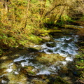 Cascade Creek