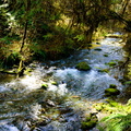 Cascade Creek
