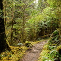 Gatton Creek Trail